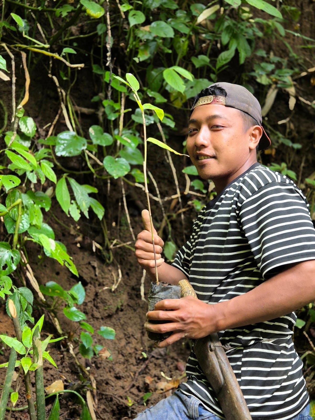 Warga Kampung Aren Simacan memegang bibit dalam polybag saat penanaman bambu di area mata air