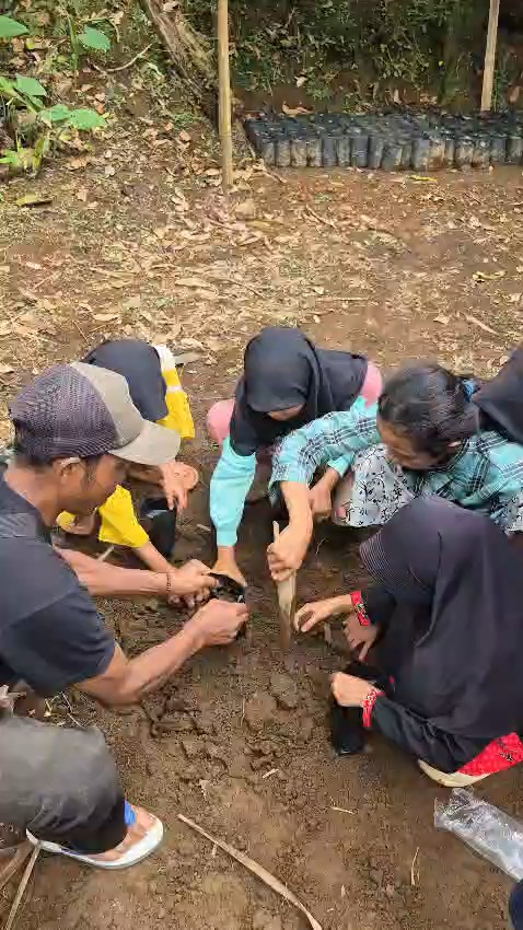 Suasana Kampung Aren