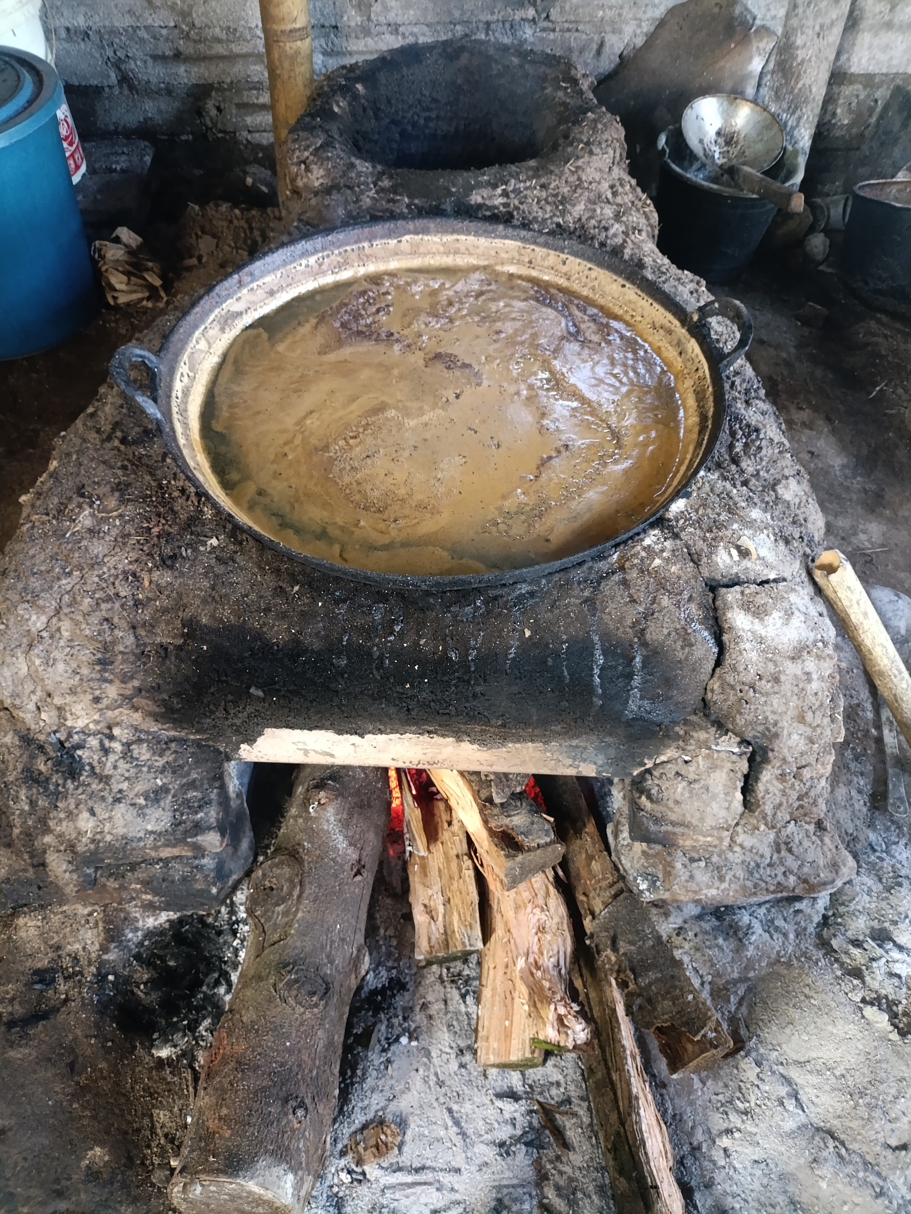 Aktivitas di Kampung Aren